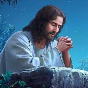 Meet your Posher, Luis